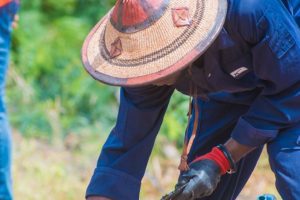 WhatsApp Image 2026-03-31 at 1.21.49 PM