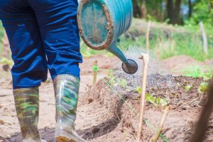 WhatsApp Image 2026-03-31 at 1.21.53 PM (1)