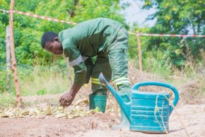 WhatsApp Image 2026-03-31 at 1.21.55 PM (1)