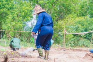 WhatsApp Image 2026-03-31 at 1.21.55 PM